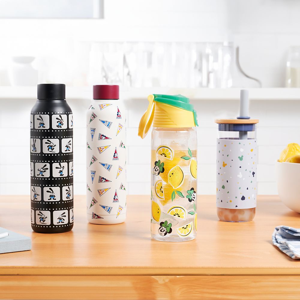 Disney Mickey Mouse And Friends Pennant Stainless Steel Water Bottle