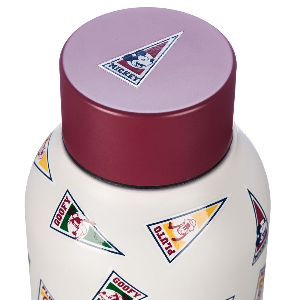 Disney Mickey Mouse And Friends Pennant Stainless Steel Water Bottle