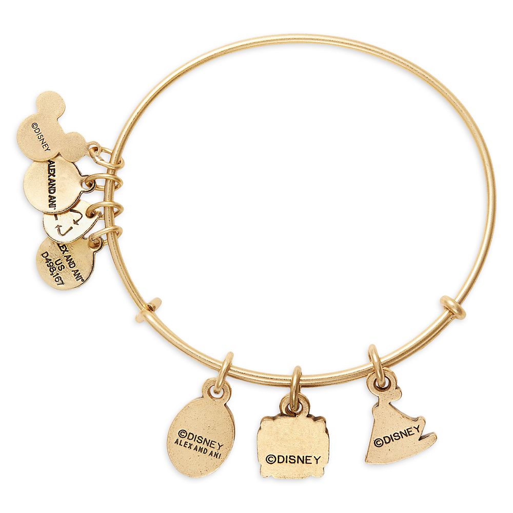 Disney Moana Symbols Bangle By Alex And Ani