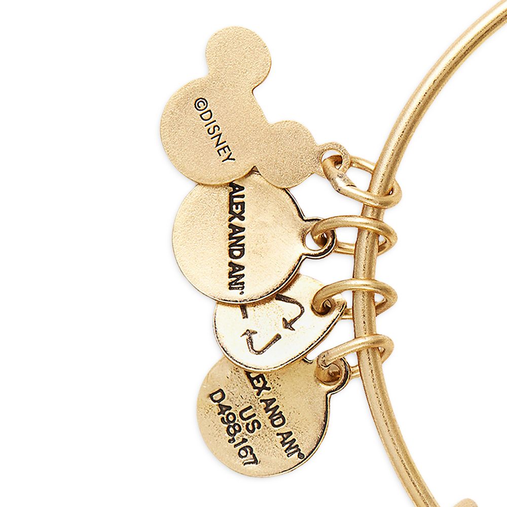 Disney Moana Symbols Bangle By Alex And Ani
