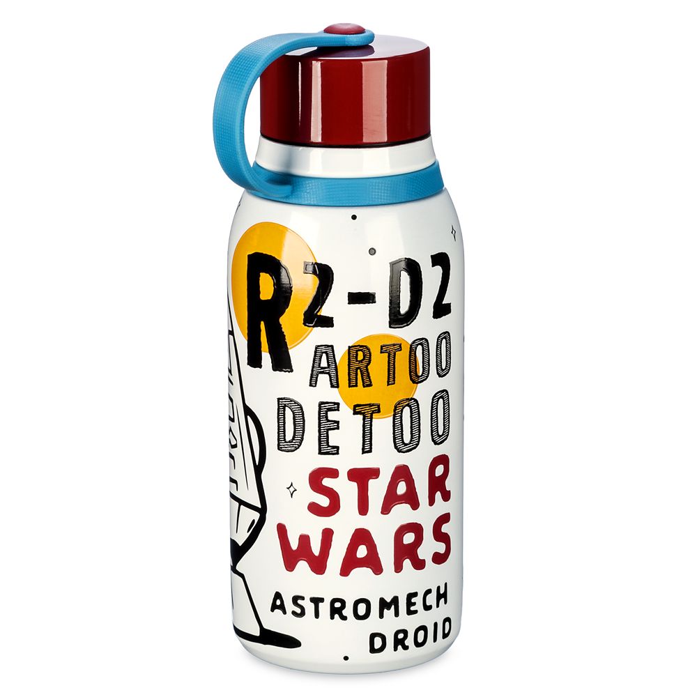 Disney R2-D2 Stainless Steel Water Bottle – Star Wars