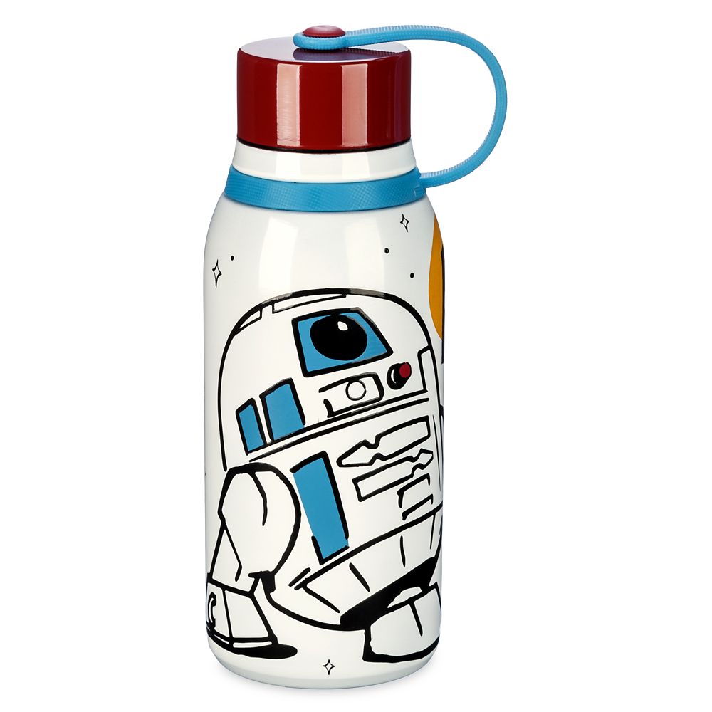 Disney R2-D2 Stainless Steel Water Bottle – Star Wars
