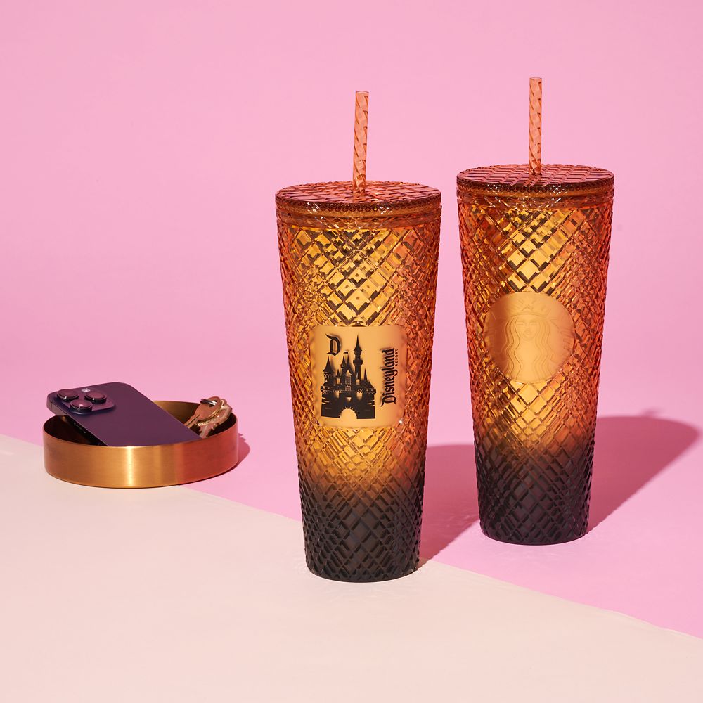  Sleeping Beauty Castle Geometric Starbucks® Tumbler With Straw – Disneyland