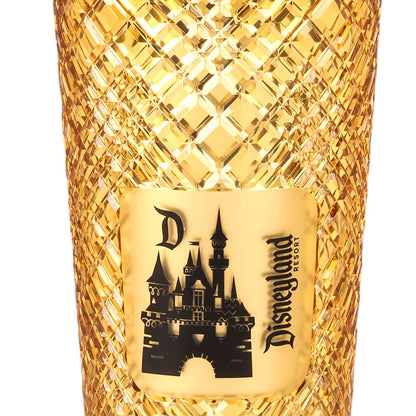  Sleeping Beauty Castle Geometric Starbucks® Tumbler With Straw – Disneyland