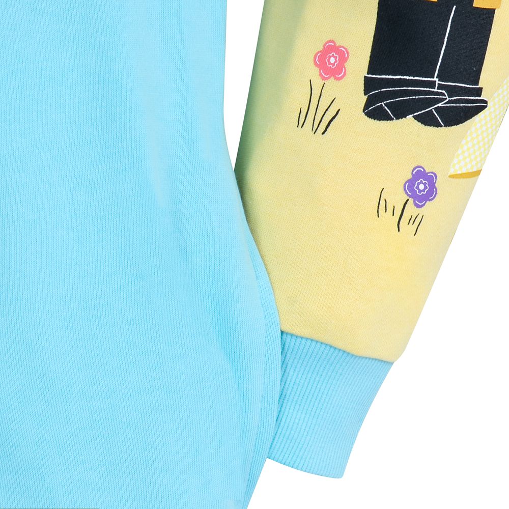 Disney Up Loungefly Pullover Hoodie For Adults