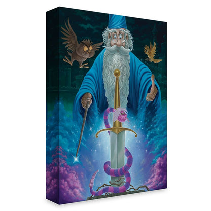 Disney The Sword In The Stone ''Merlin's Domain'' Giclée By Jared Franco – Limited Edition